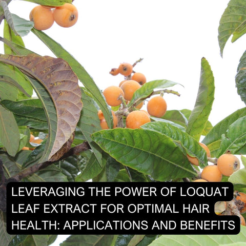 Leveraging the Power of Loquat Leaf Extract for Optimal Hair Health: Applications and Benefits