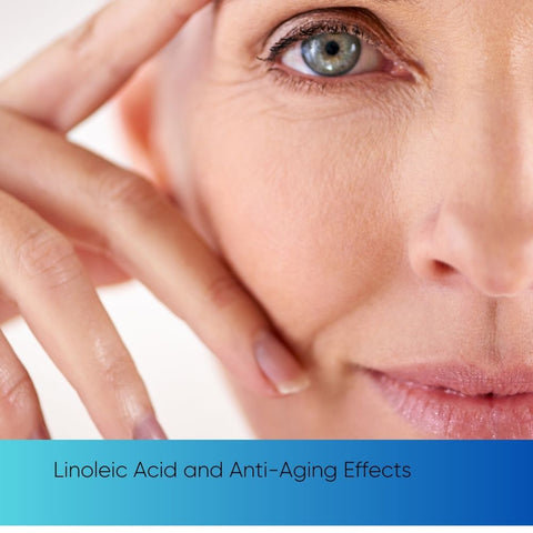 Linoleic Acid and Anti-Aging Effects