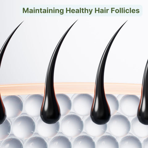 Maintaining Healthy Hair Follicles