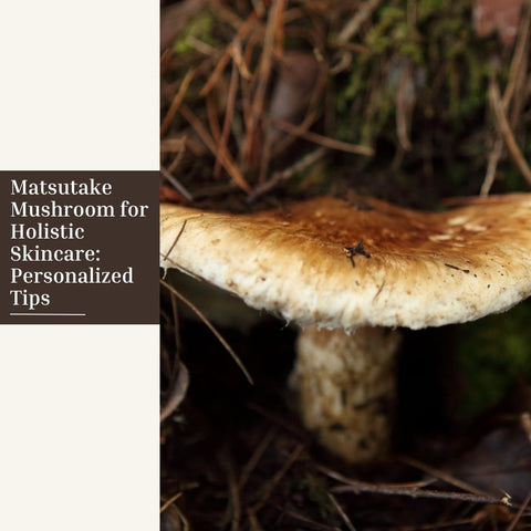 Matsutake Mushroom for Holistic Skincare: Personalized Tips