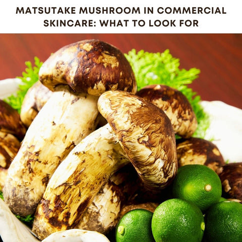 Matsutake Mushroom in Commercial Skincare: What to Look For