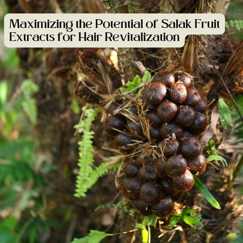 Maximizing the Potential of Salak Fruit Extracts for Hair Revitalization