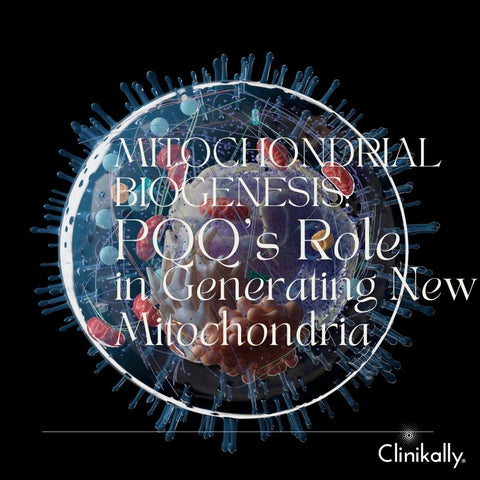 Mitochondrial Biogenesis: PQQ's Role in Generating New Mitochondria