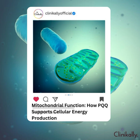Mitochondrial Function: How PQQ Supports Cellular Energy Production