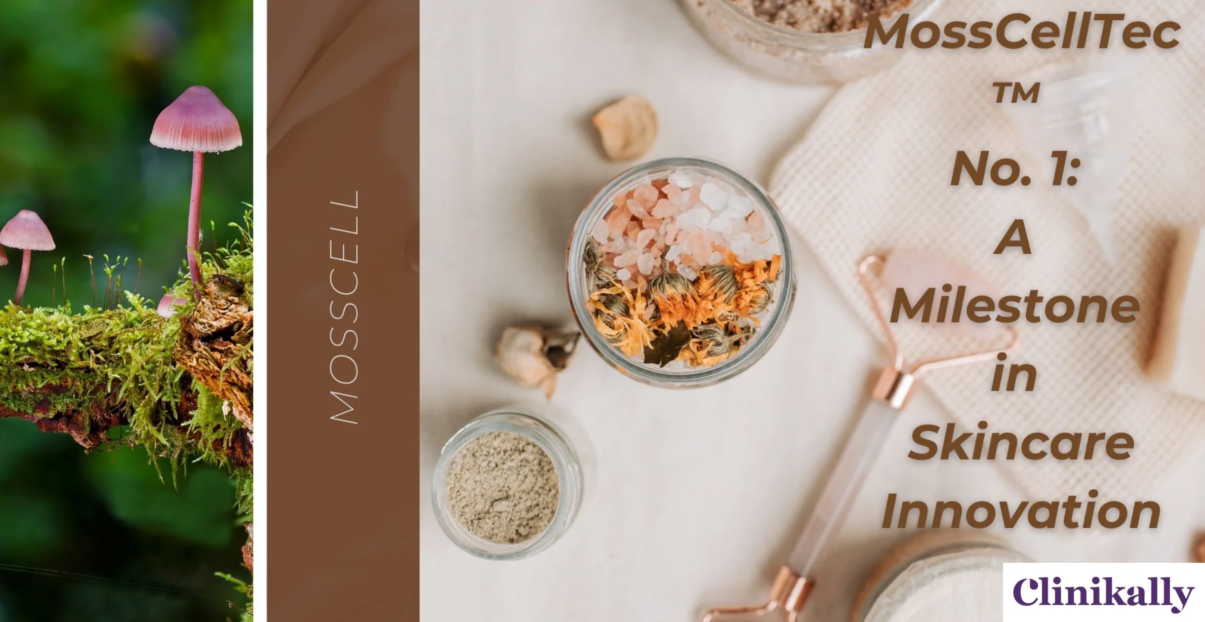 MossCellTec™ No. 1: A Milestone in Skincare Innovation