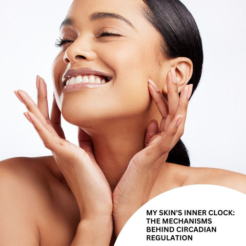 My Skin's Inner Clock: The Mechanisms Behind Circadian Regulation
