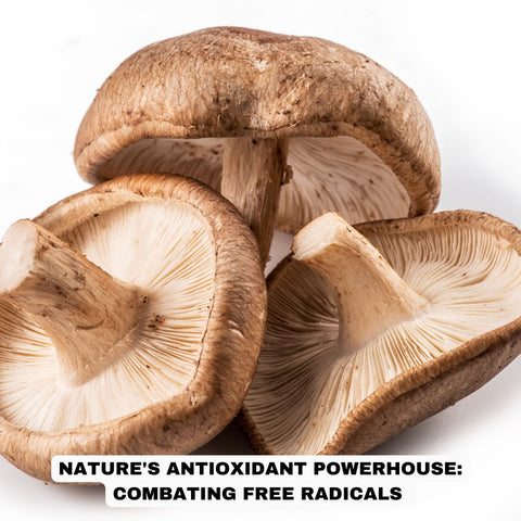 Nature's Antioxidant Powerhouse: Combating Free Radicals 