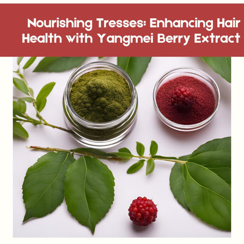 Nourishing Tresses: Enhancing Hair Health with Yangmei Berry Extract