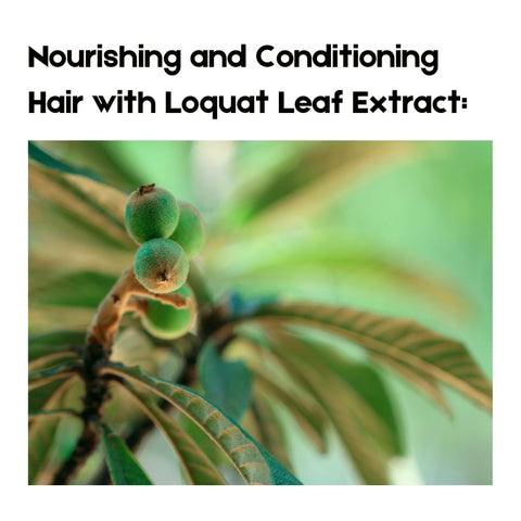 Nourishing and Conditioning Hair with Loquat Leaf Extract: Natural Solutions for Hair Care