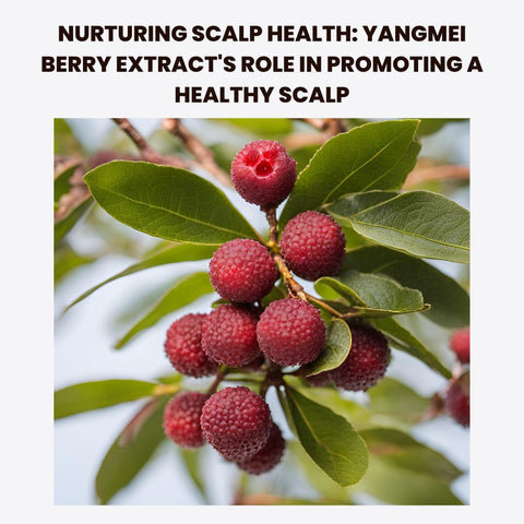 Nurturing Scalp Health: Yangmei Berry Extract's Role in Promoting a Healthy Scalp