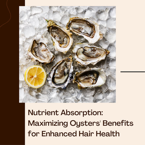 Nutrient Absorption: Maximizing Oysters' Benefits for Enhanced Hair Health