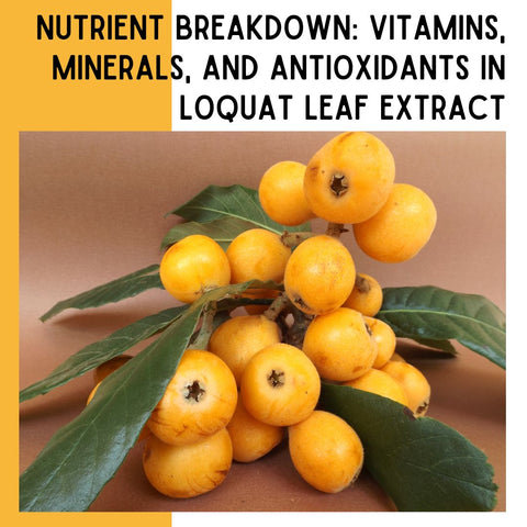 Nutrient Breakdown: Vitamins, Minerals, and Antioxidants in Loquat Leaf Extract
