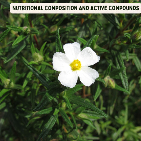 Nutritional Composition and Active Compounds