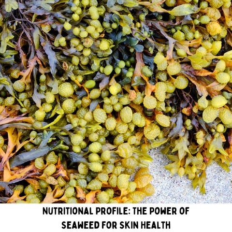 Nutritional Profile: The Power of Seaweed for Skin Health