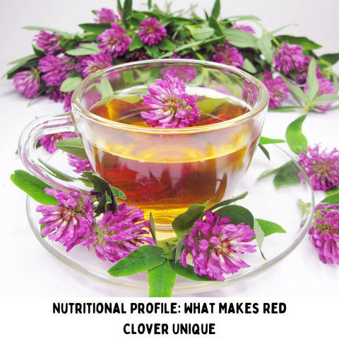 Nutritional Profile: What Makes Red Clover Unique