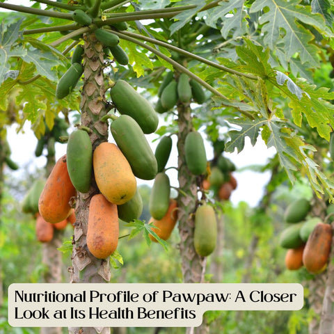 Nutritional Profile of Pawpaw: A Closer Look at Its Health Benefits