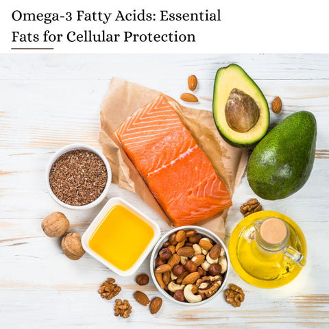 Omega-3 Fatty Acids: Essential Fats for Cellular Protection