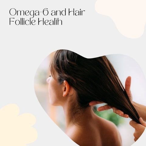Omega-6 and Hair Follicle Health