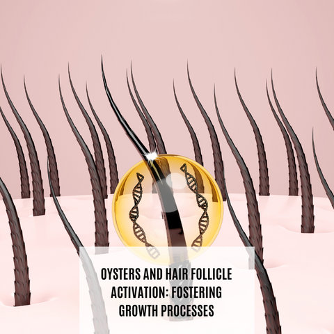 Oysters and Hair Follicle Activation: Fostering Growth Processes