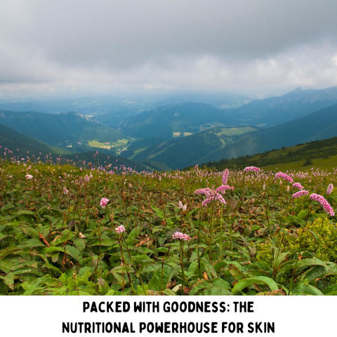 Packed with Goodness: The Nutritional Powerhouse for Skin