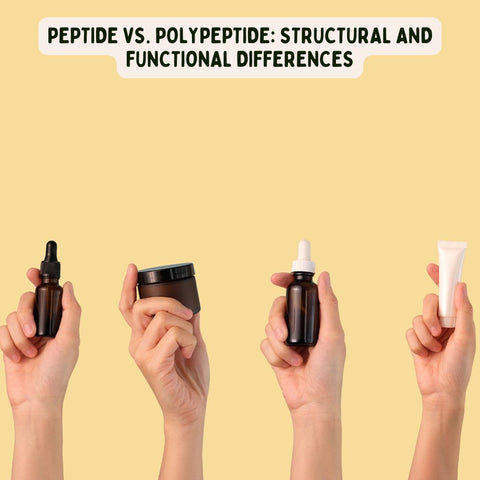 Peptide vs. Polypeptide: Structural and Functional Differences