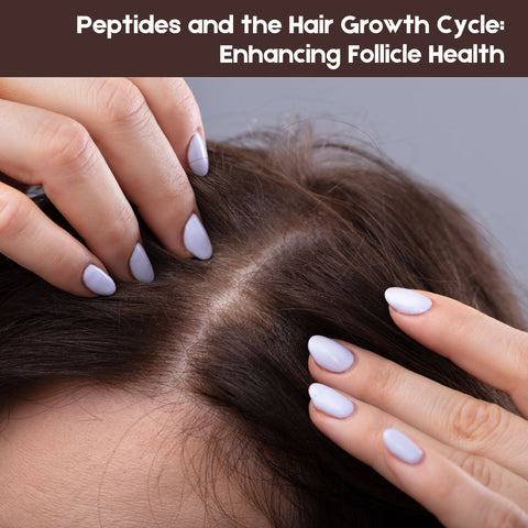 Peptides and the Hair Growth Cycle: Enhancing Follicle Health
