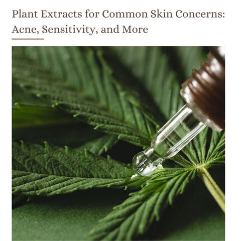 Plant Extracts for Common Skin Concerns: Acne, Sensitivity, and More