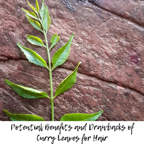 Potential Benefits and Drawbacks of Curry Leaves for Hair