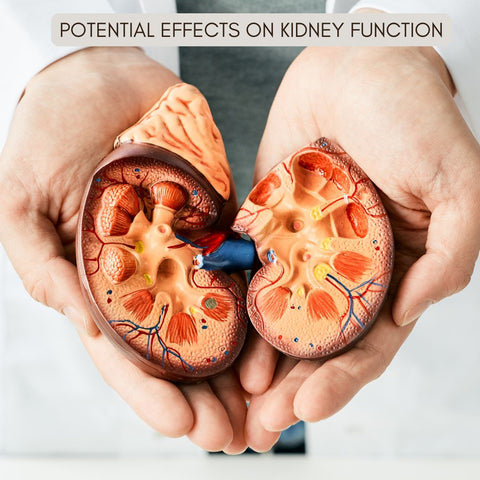 Potential Effects on Kidney Function