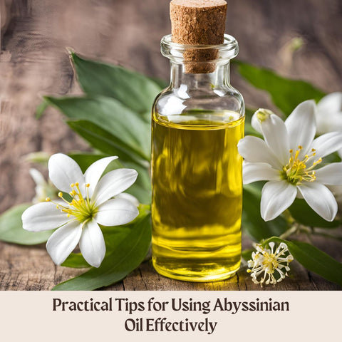 Practical Tips for Using Abyssinian Oil Effectively