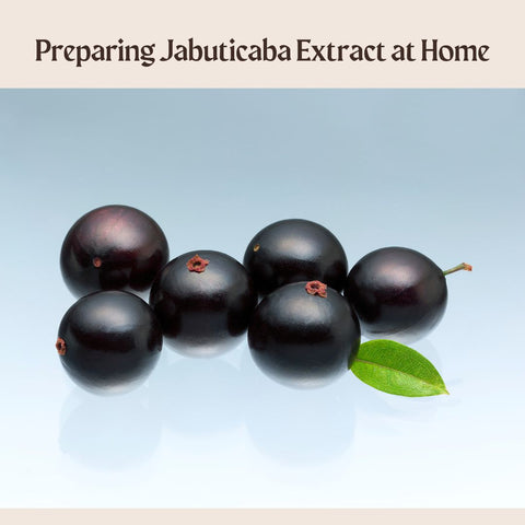 Preparing Jabuticaba Extract at Home
