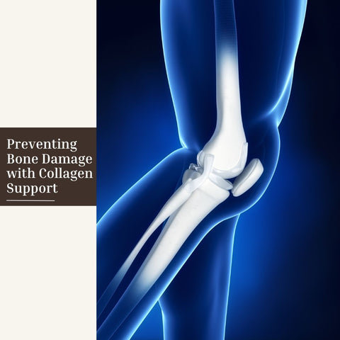 Preventing Bone Damage with Collagen Support