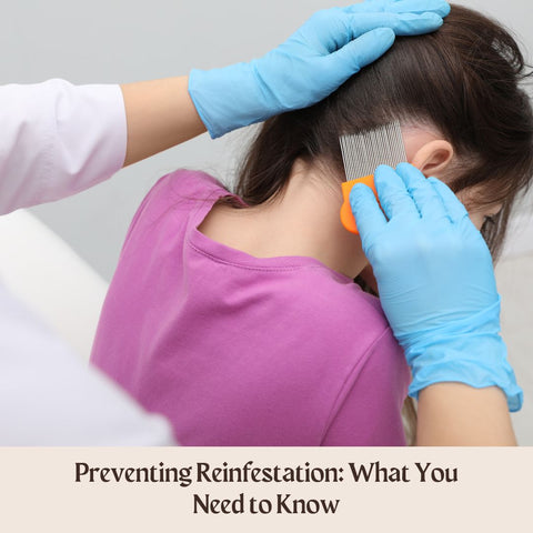 Preventing Reinfestation: What You Need to Know
