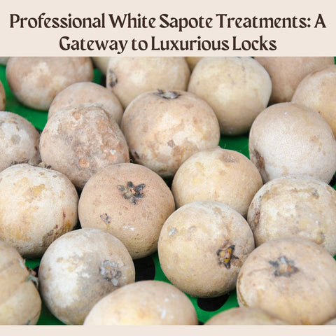 Professional White Sapote Treatments: A Gateway to Luxurious Locks