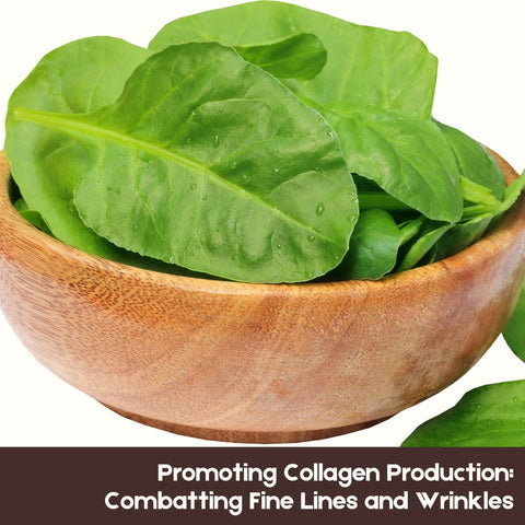 Promoting Collagen Production: Combatting Fine Lines and Wrinkles