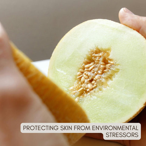 Protecting Skin from Environmental Stressors