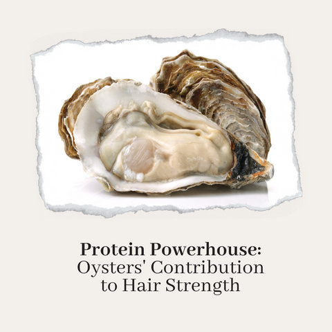 Protein Powerhouse: Oysters' Contribution to Hair Strength
