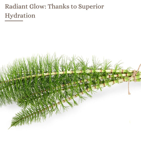 Radiant Glow: Thanks to Superior Hydration