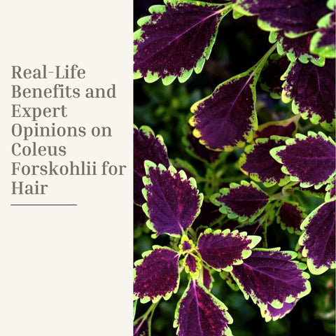 Real-Life Benefits and Expert Opinions on Coleus Forskohlii for Hair