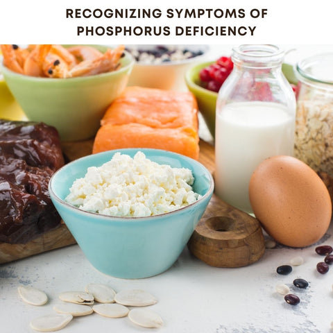 Recognizing Symptoms of Phosphorus Deficiency