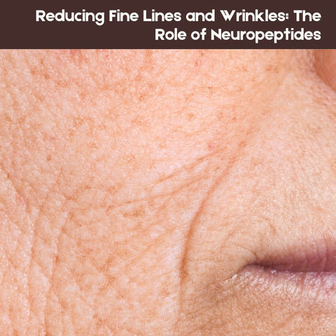 Reducing Fine Lines and Wrinkles: The Role of Neuropeptides