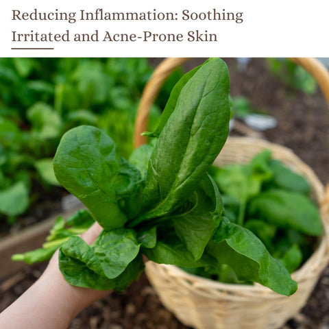 Reducing Inflammation: Soothing Irritated and Acne-Prone Skin
