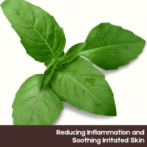 Reducing Inflammation and Soothing Irritated Skin