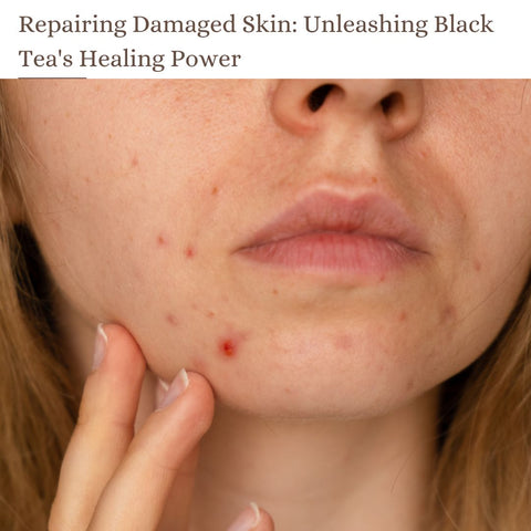 Repairing Damaged Skin: Unleashing Black Tea's Healing Power