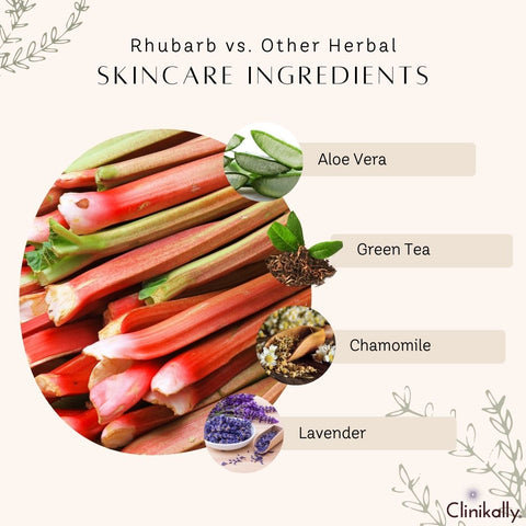Rhubarb vs. Other Herbal Skincare Ingredients