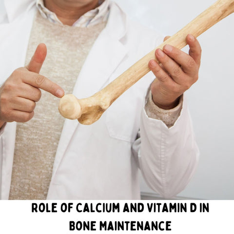 Role of Calcium and Vitamin D in Bone Maintenance