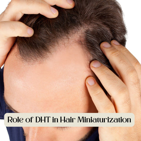 Role of DHT in Hair Miniaturization