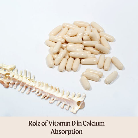 Role of Vitamin D in Calcium Absorption