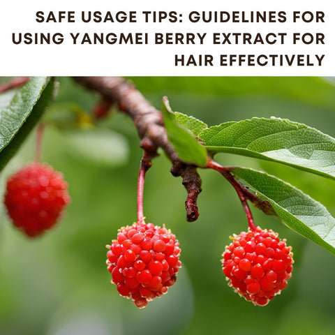 Safe Usage Tips: Guidelines for Using Yangmei Berry Extract for Hair Effectively