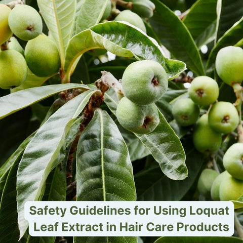 Safety Guidelines for Using Loquat Leaf Extract in Hair Care Products